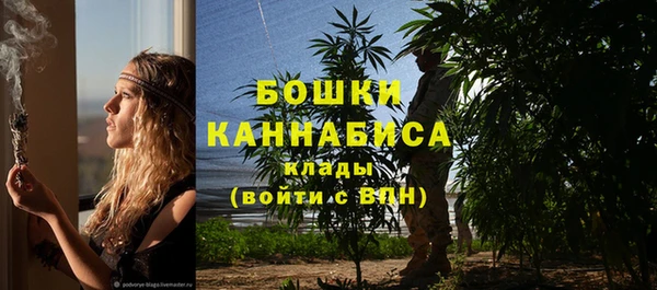 стафф Покачи