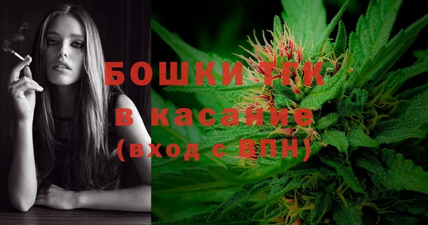 стафф Покачи