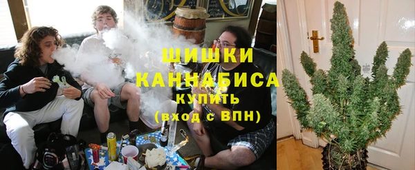 амф Вязьма