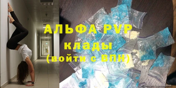 амф Вязьма