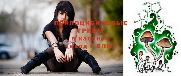 стаф Вязники