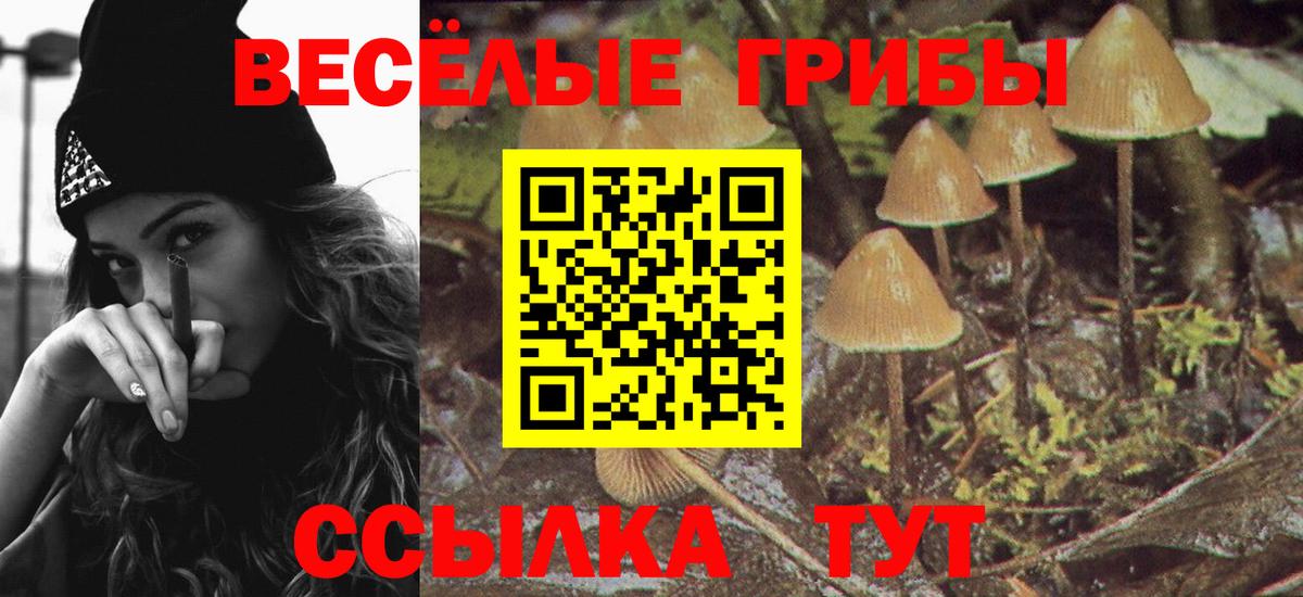 Москва  хочу   Галлюциногенные грибы MAGIC MUSHROOMS  Вход с VPN  Псилоцибиновые грибы мицелий 